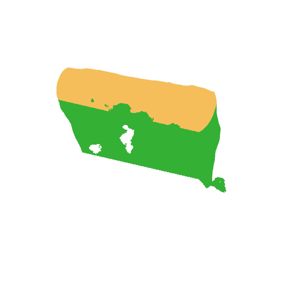 Biome Rust Map: Procedural Map, Size: 1000, Seed: 51651981