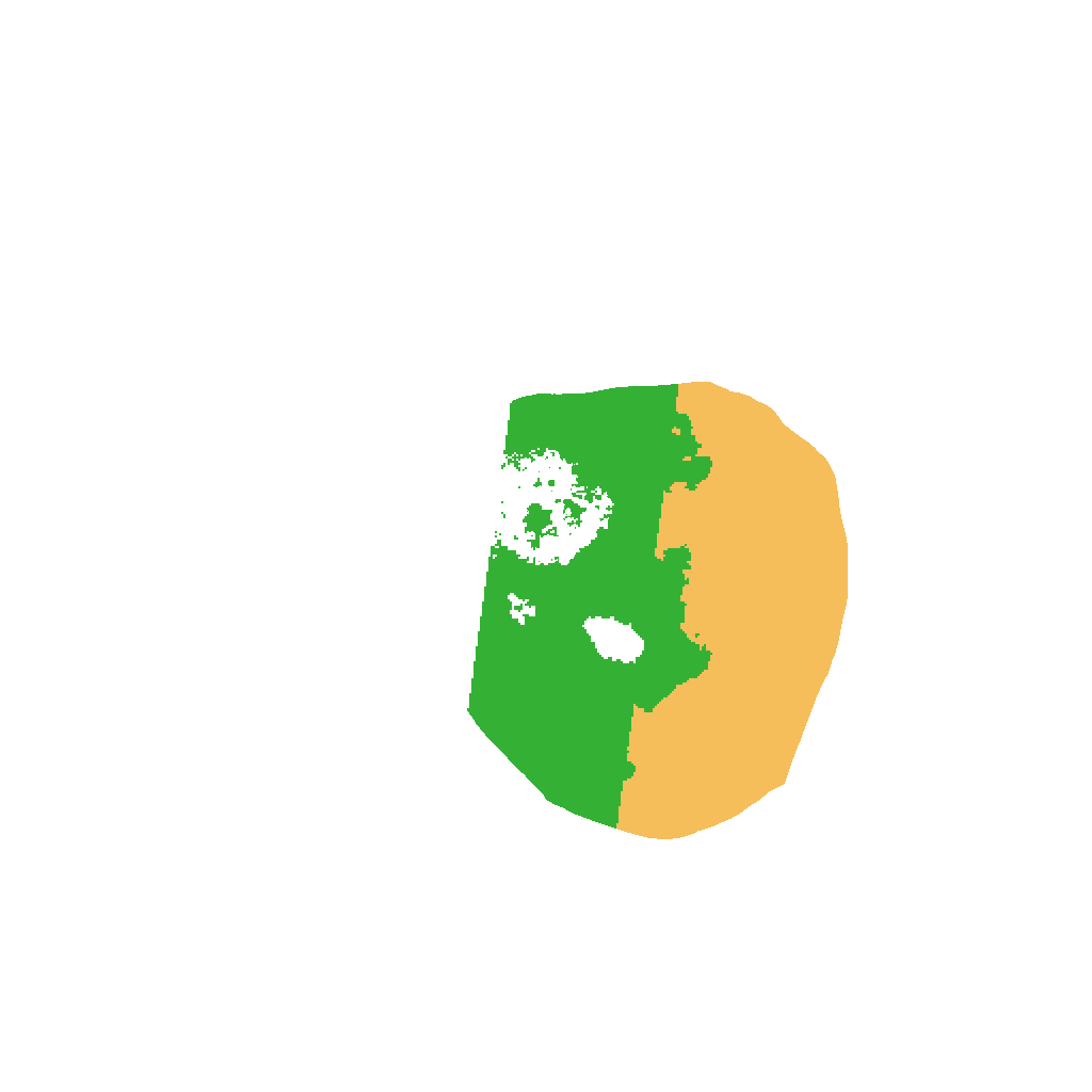 Biome Rust Map: Procedural Map, Size: 1000, Seed: 799994806