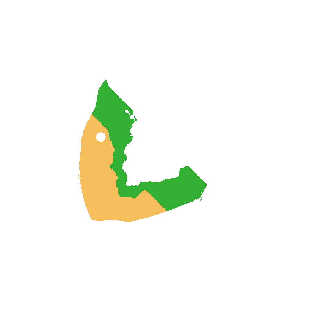 Biome Rust Map: Procedural Map, Size: 1000, Seed: 898018080