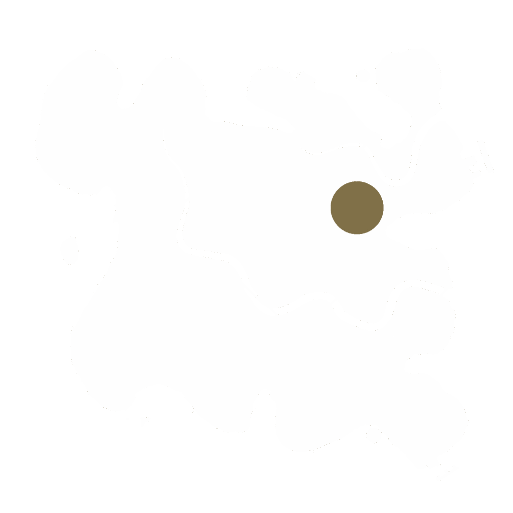 Biome Rust Map: Custom Map