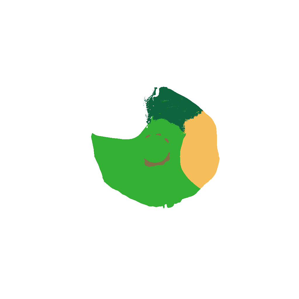 Biome Rust Map: Custom Map